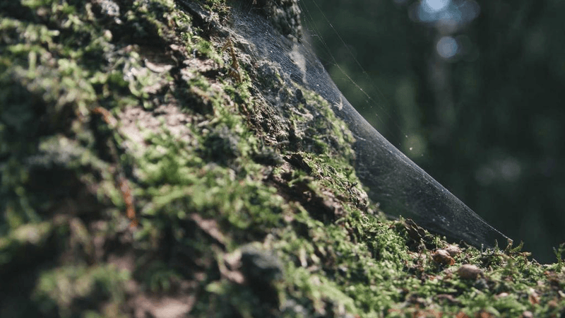 Credit Card - professional stock photography